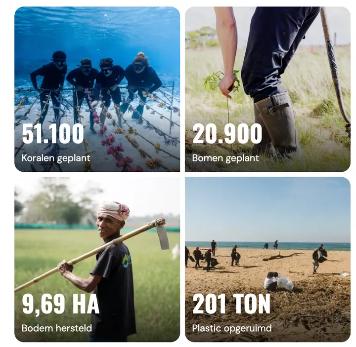 Resultaten van de SUMTHING-projecten